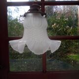 Glass tulip pendant light