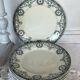 Salins flat plates