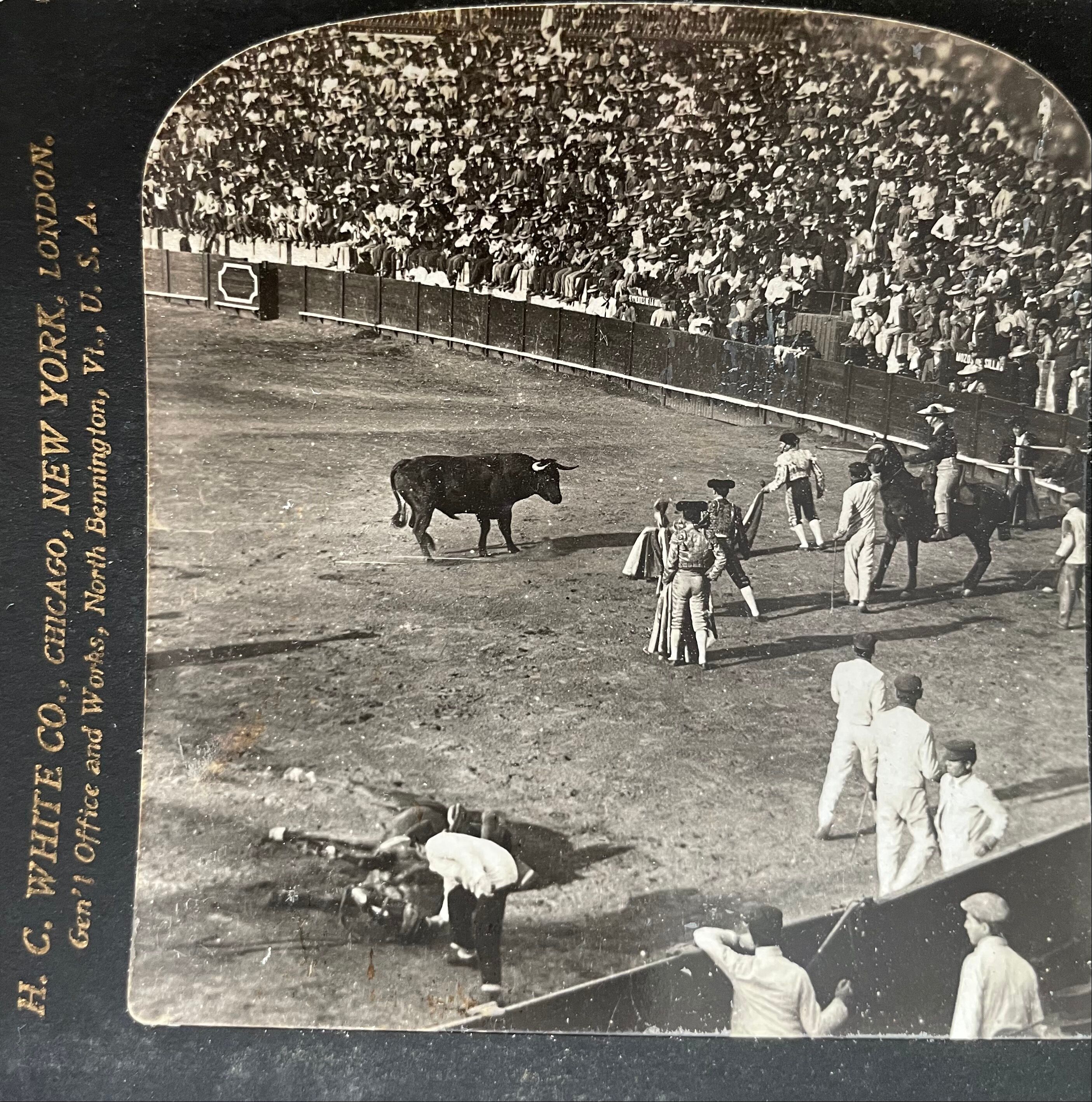 Old photography stereo, stereograph, luxury albumine 1903 bullfight, Seville, Spain