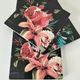 4 Orval coasters – Exotic decor with parrots and pomegranates