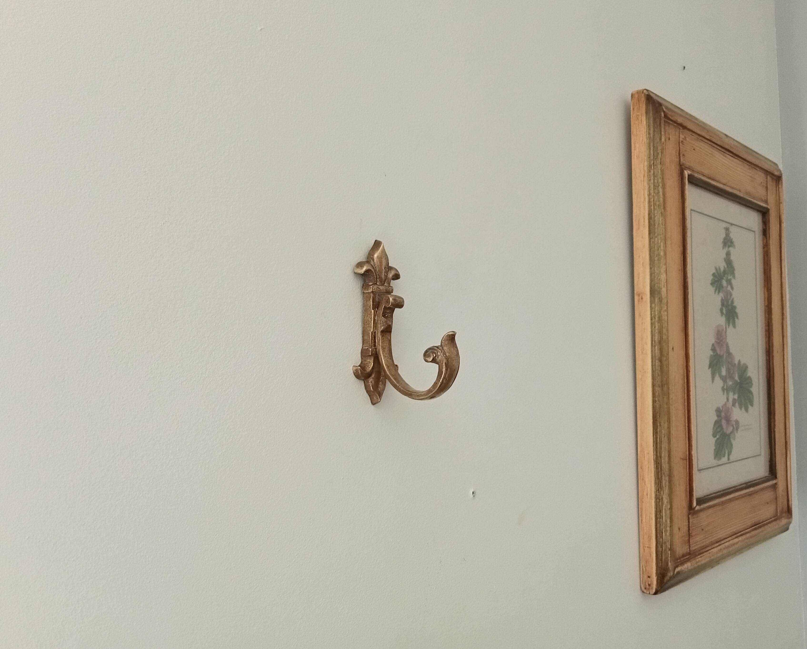 Bronze coat hook xixth