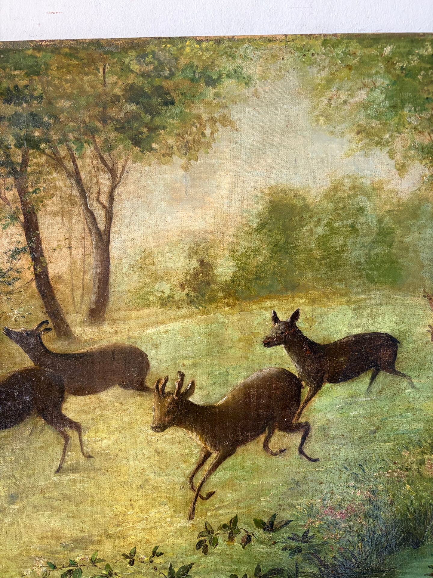 Clearing with five deer, oil on canvas signed F Hari Fourchon