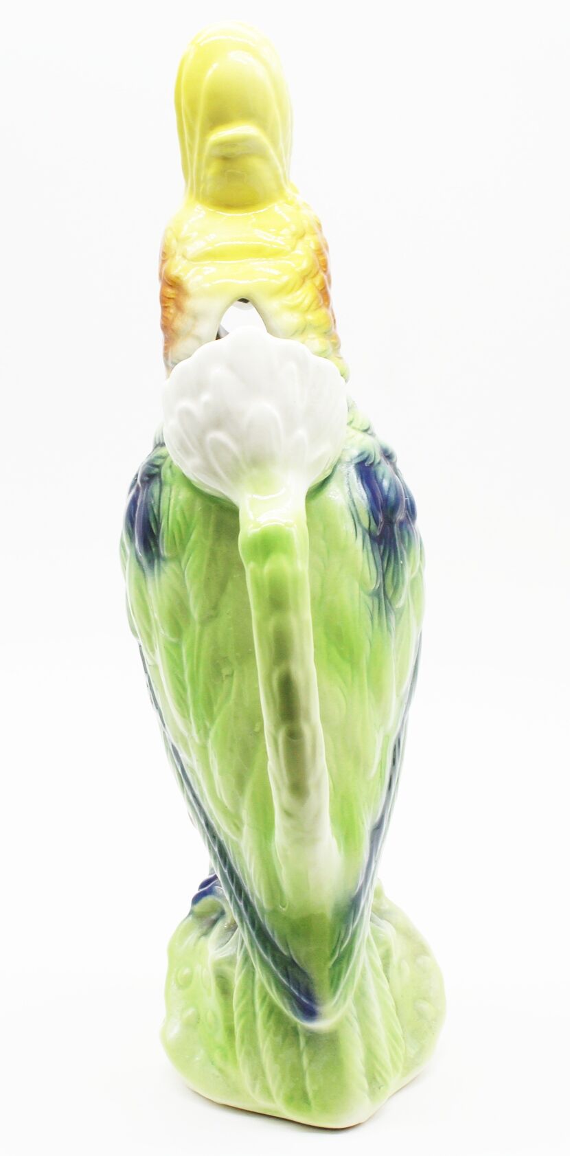 Parrot carafe in dabbling
