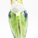 Parrot carafe in dabbling