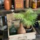 Old wooden box