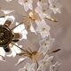 Vintage Murano Glass Chandelier White Flowers, 1970