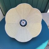 Suspension in canning