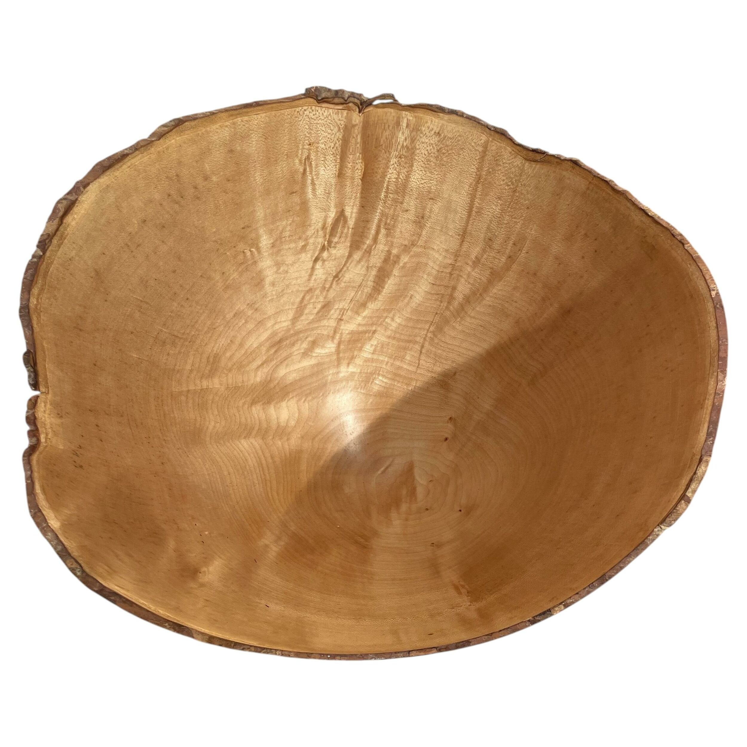 Sycamore monoxyle cup by Ralph Ribour