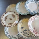 14 mismatched flat plates Terre de fer