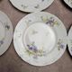 Set of 12 dessert plates in Limoges porcelain GDA France – floral design