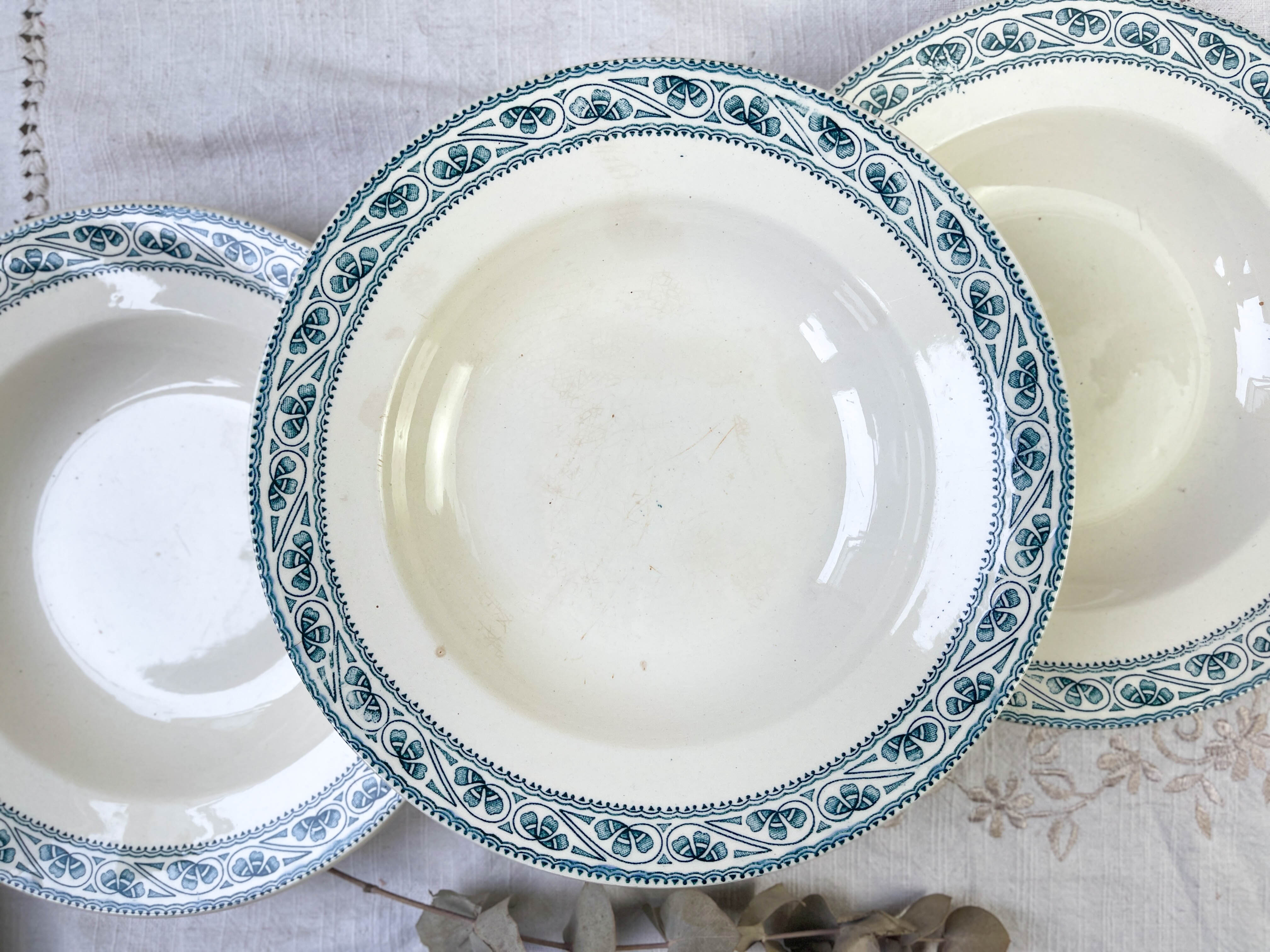 6 deep plates in Boulenger blue ironstone “Champigny”