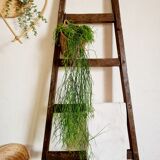 Old wooden country scale