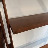Modular Teak Bookcase by Franco Albini 1956