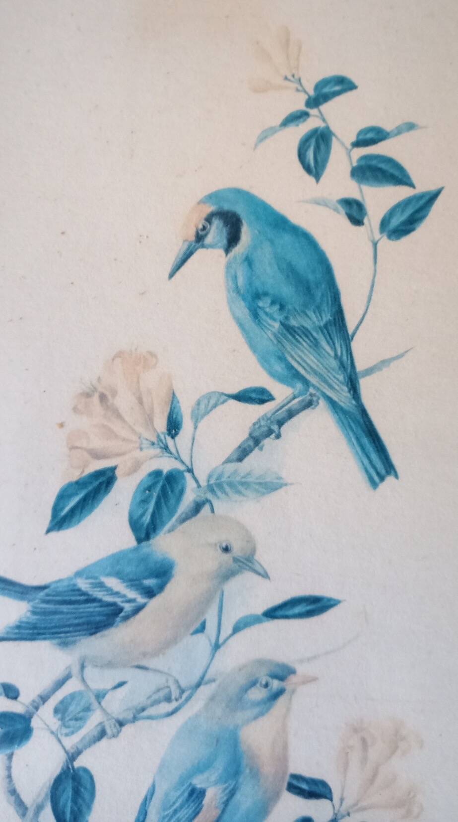 Painting with birds in an old golden frame