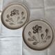 Set of 2 ceramic plates from Sarregueminesine