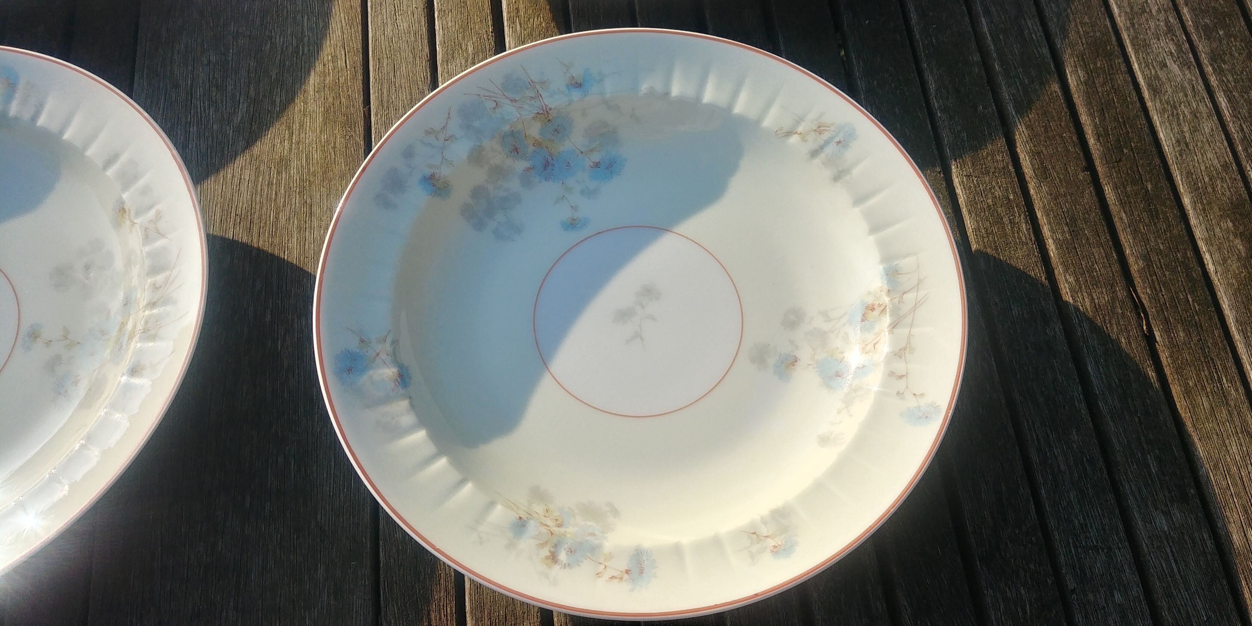 Set of four hollow Limoges porcelain plates signed Robert Haviland & Le Tanneur