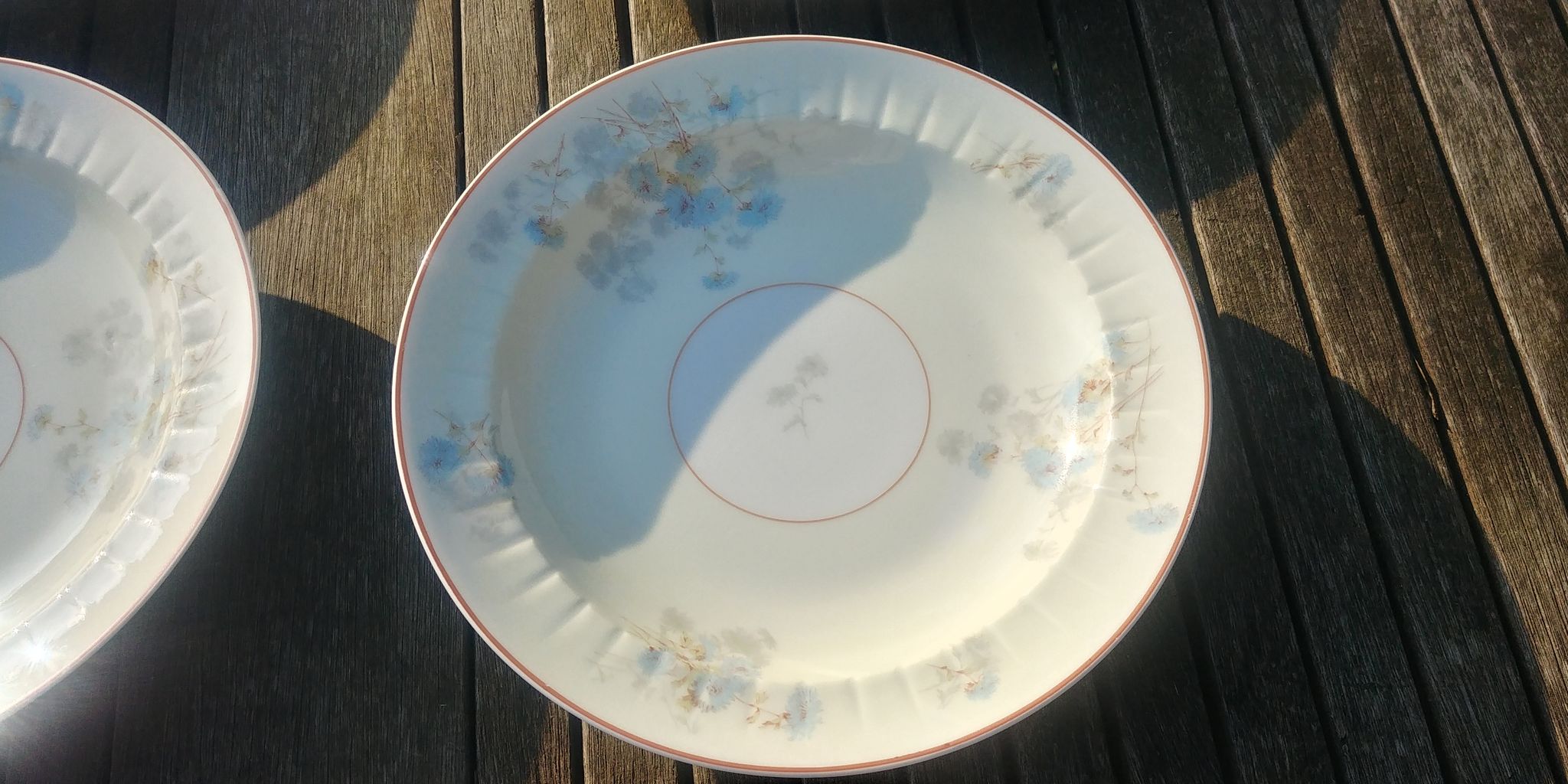 Set of four hollow Limoges porcelain plates signed Robert Haviland & Le Tanneur