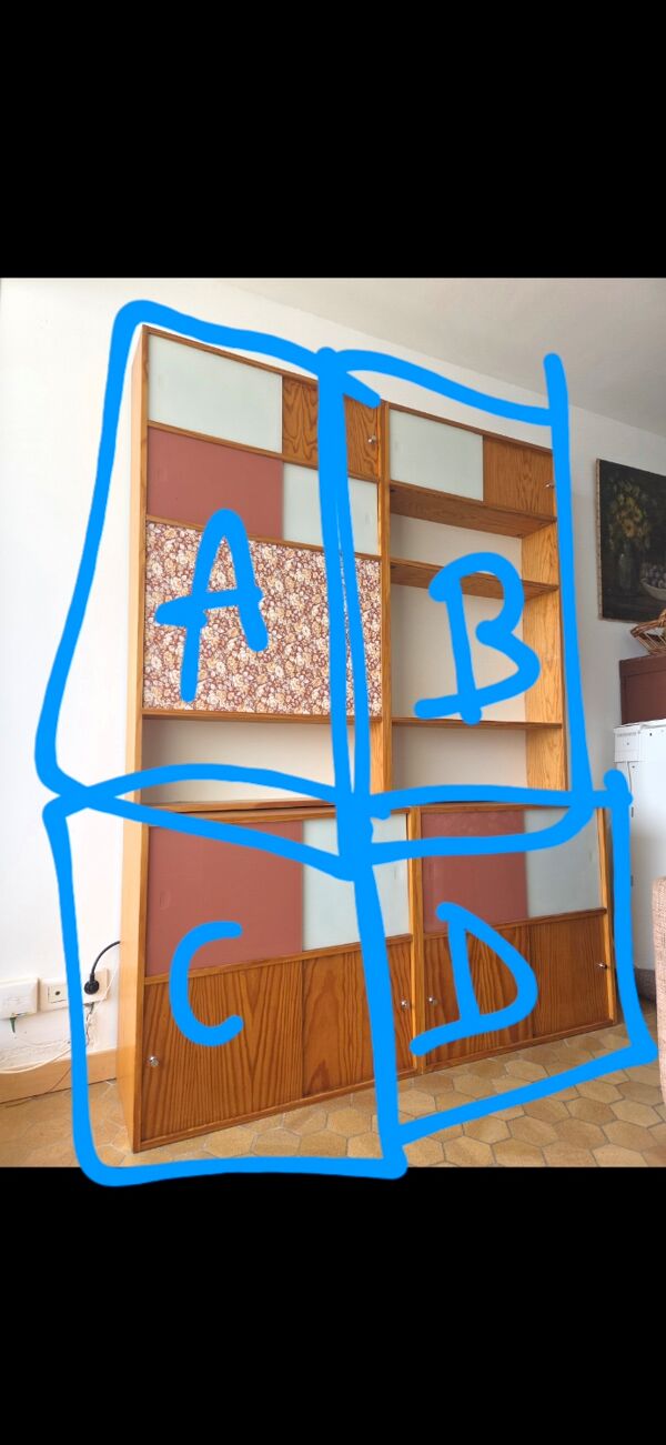 Grande bibliotheque cache TV