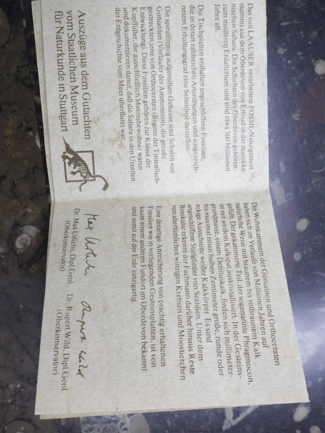 Brutalist salontafl Laauser Fossiel natuursteen