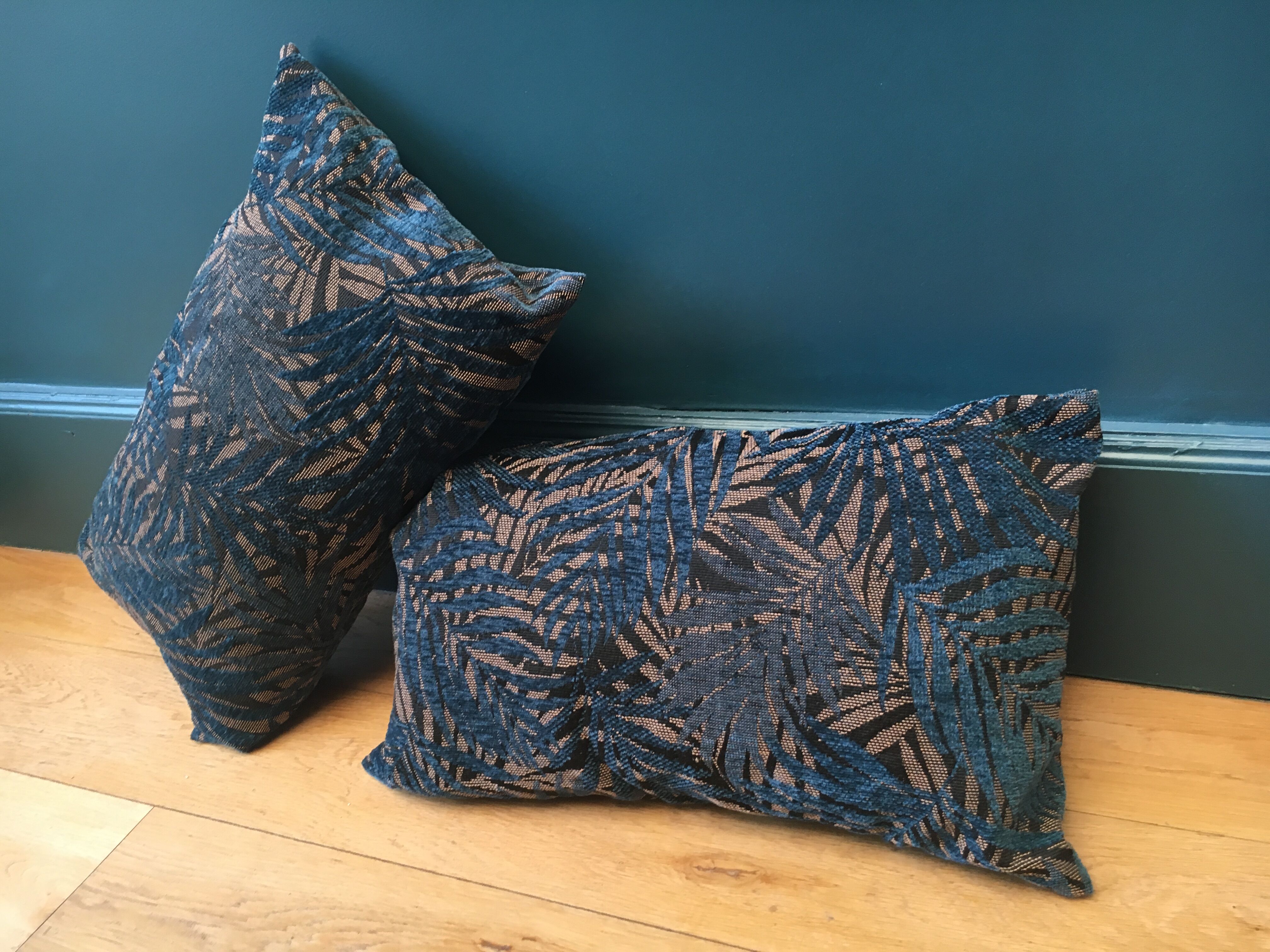 Paire de coussins