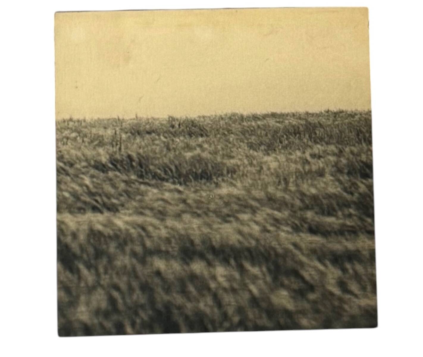 Gerry Hunt (1927 - 2023), set of 5 photographs mounted on wooden panels, United Kingdom 1977