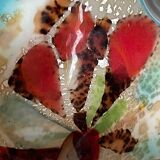 Cendrier vide-poche « Tutti Frutti » de Dino Martens en verre de M