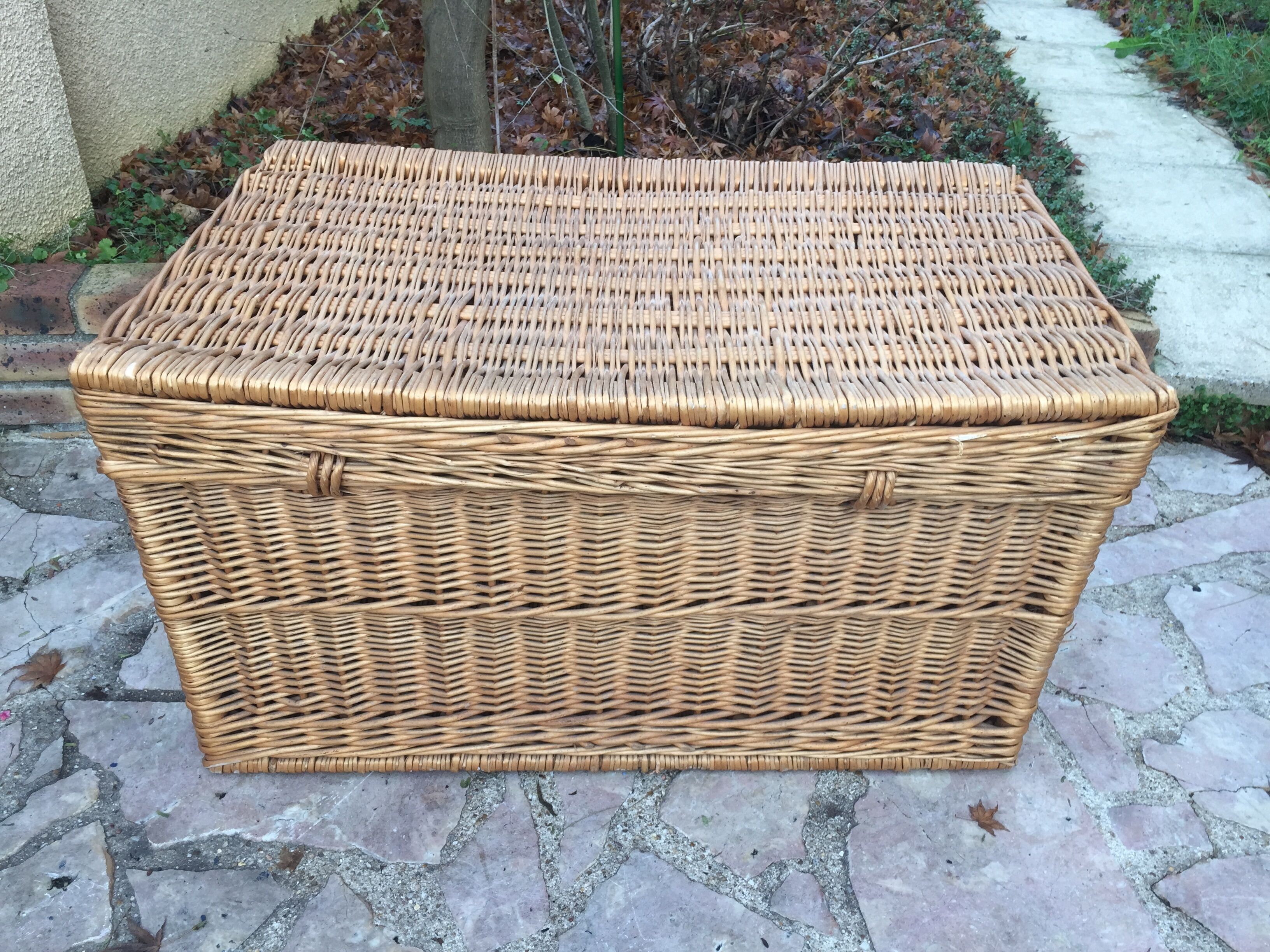 Wicker trunk