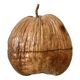 Coconut ice bucket