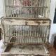 Large antique wooden birdcage