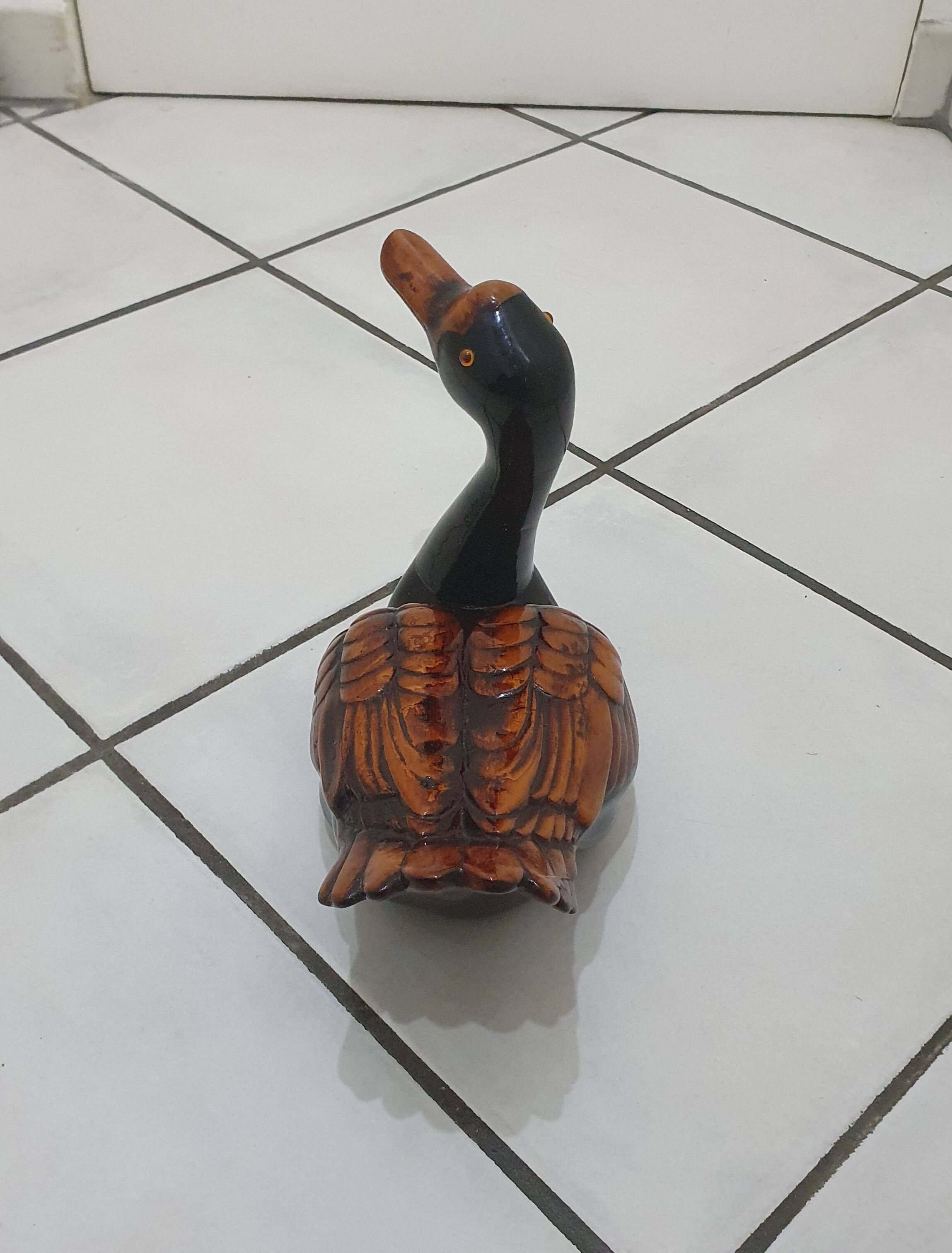 Large brown and black duck