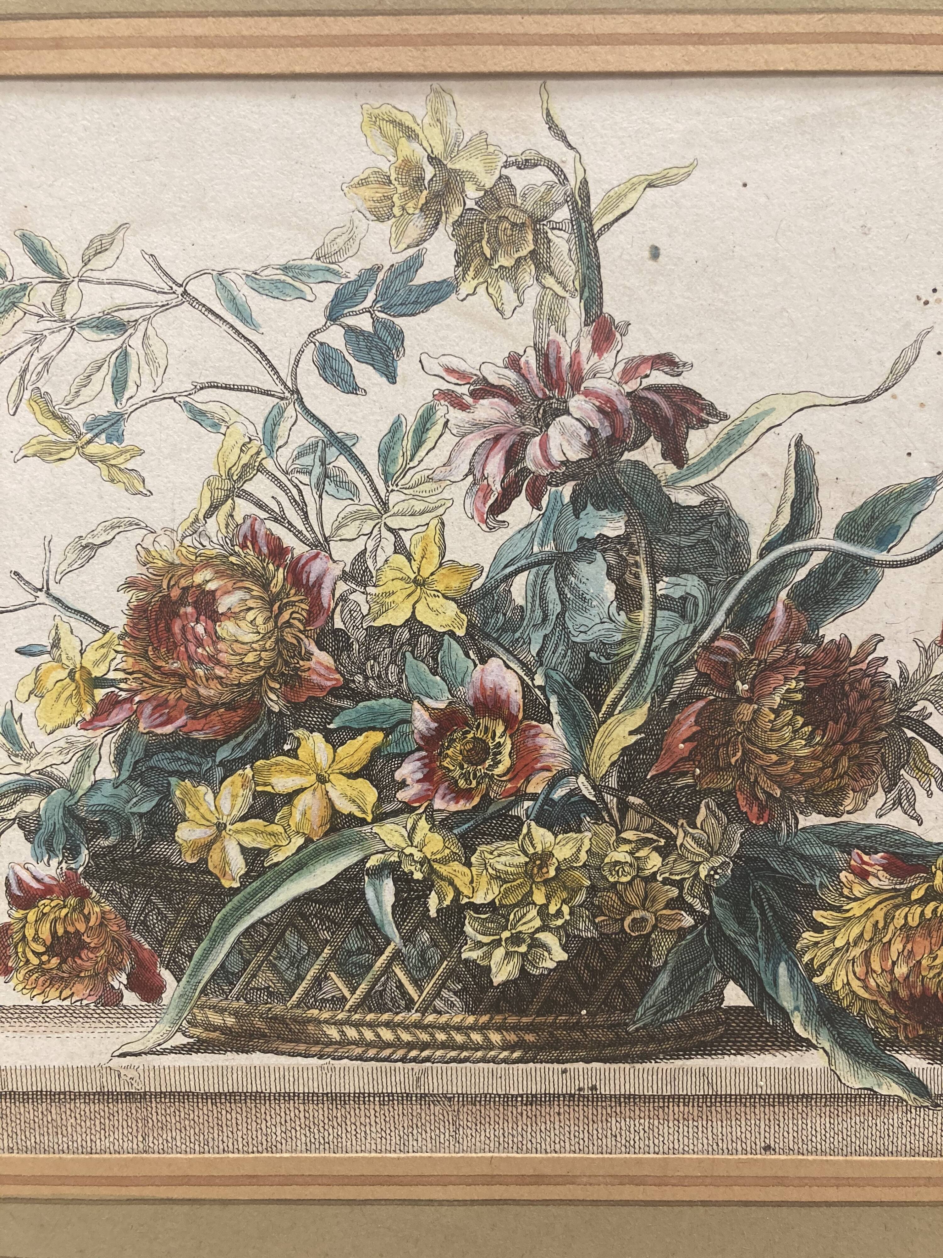 Pair of framed botanical boards