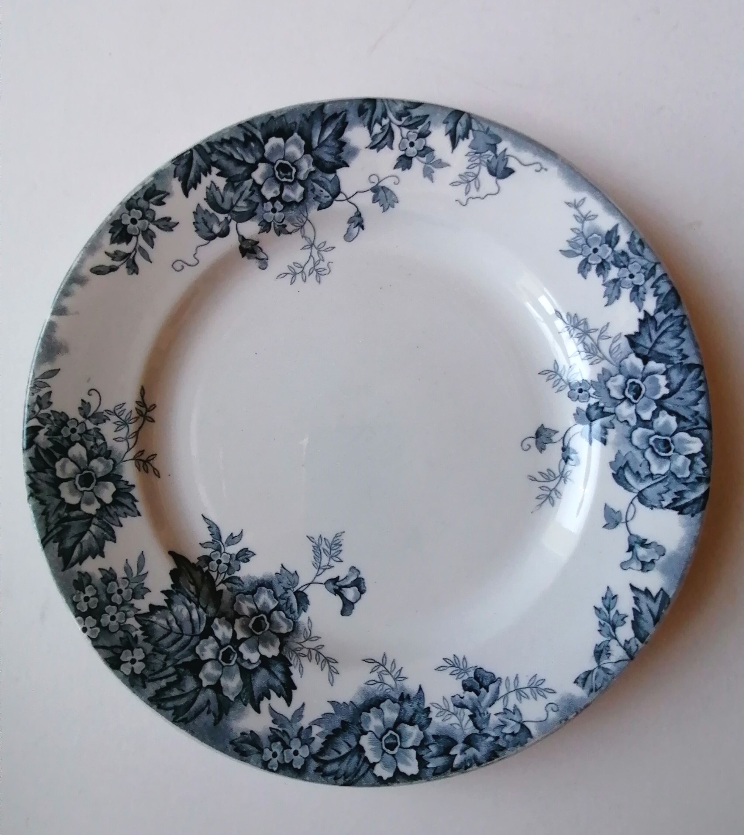 6 flat plates wolf mill blue and white iron earth