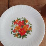 6 Arcopal dessert plates
