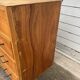 A Vintage Workshop and Trade Cabinet with Drawers