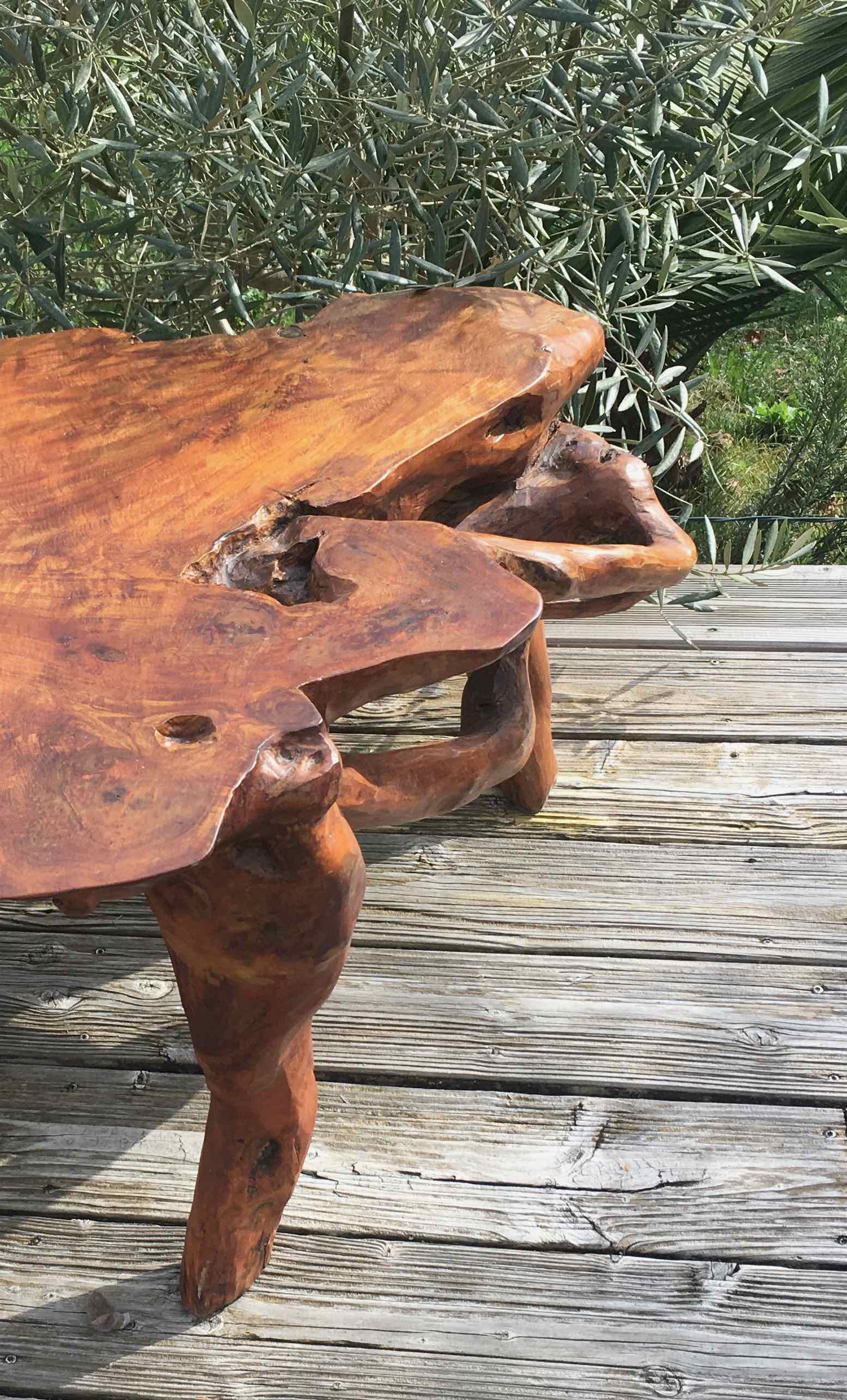 Brutalist teak root coffee table