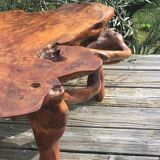 Brutalist teak root coffee table