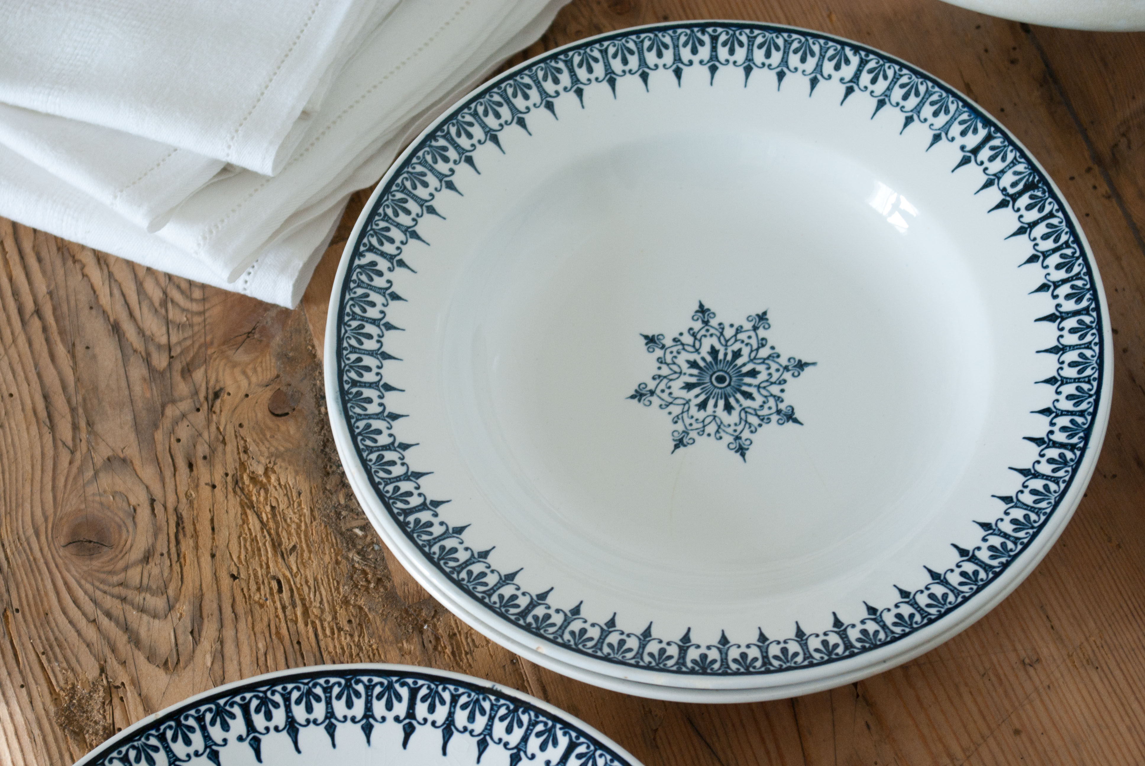 Fine earthenware soup plates