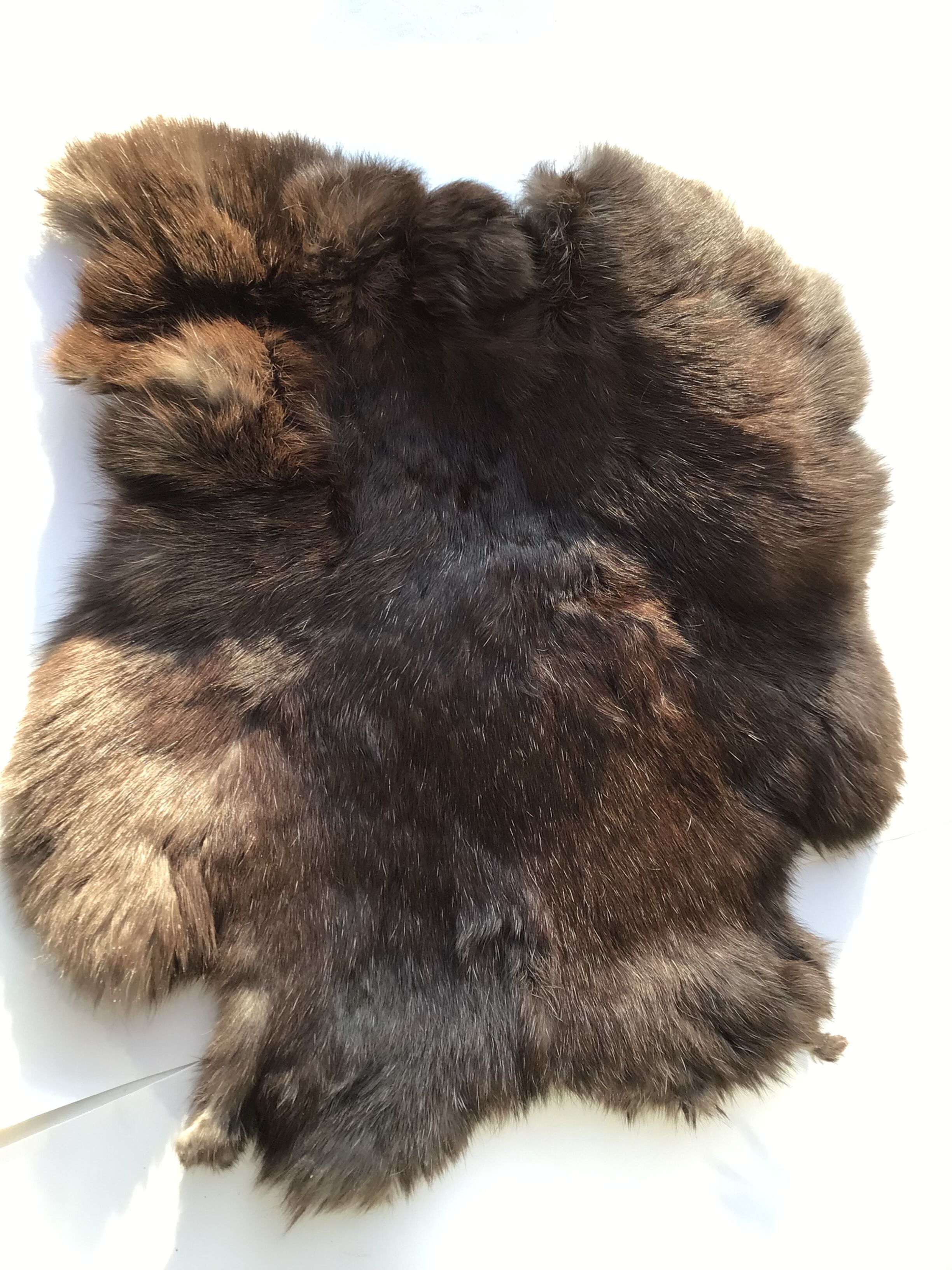 Dark brown rabbit skin