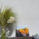 Sunny mountain painting