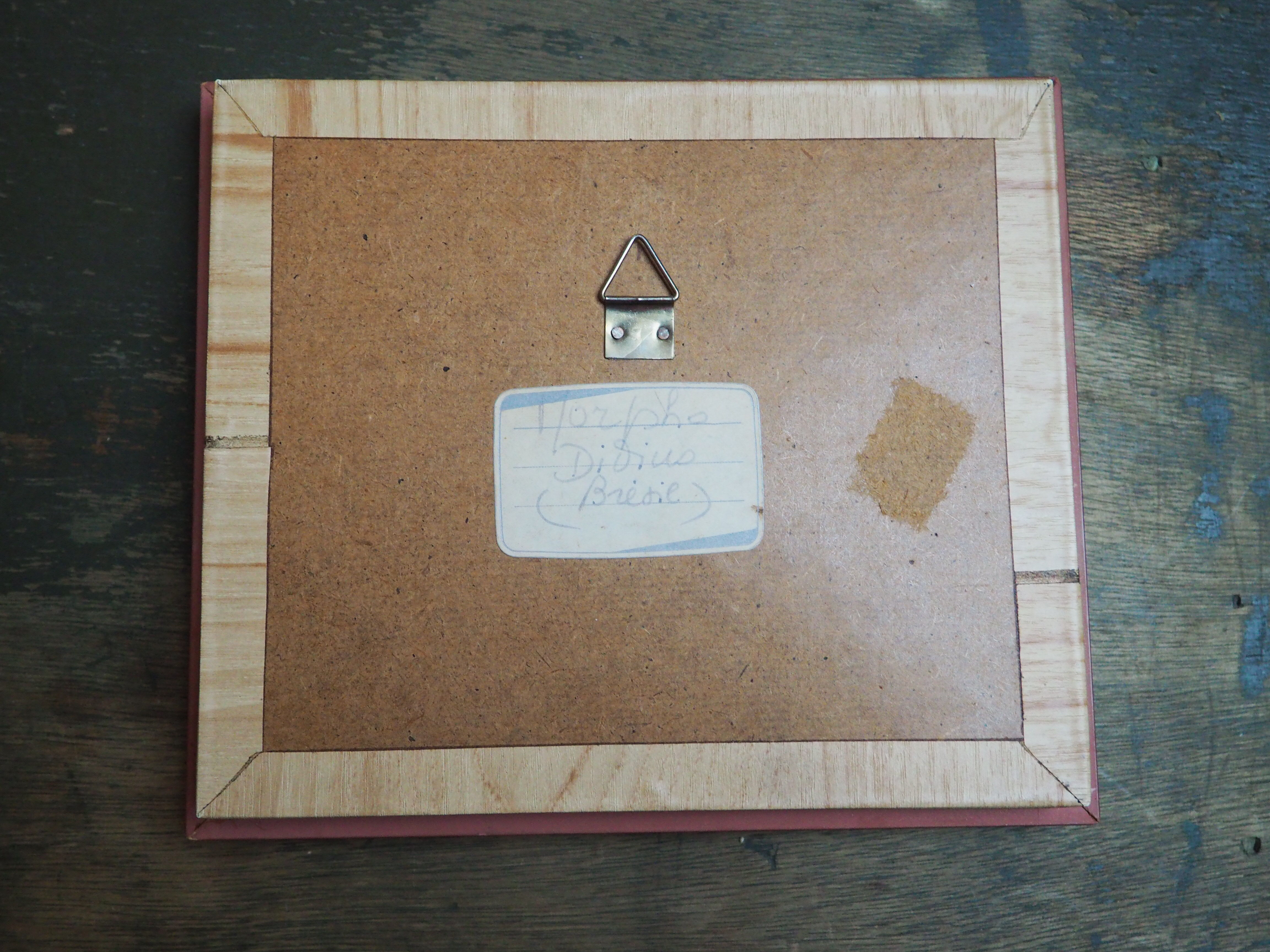 Former executive butterfly under glass