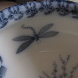 IRIS and dragonfly, beautiful!