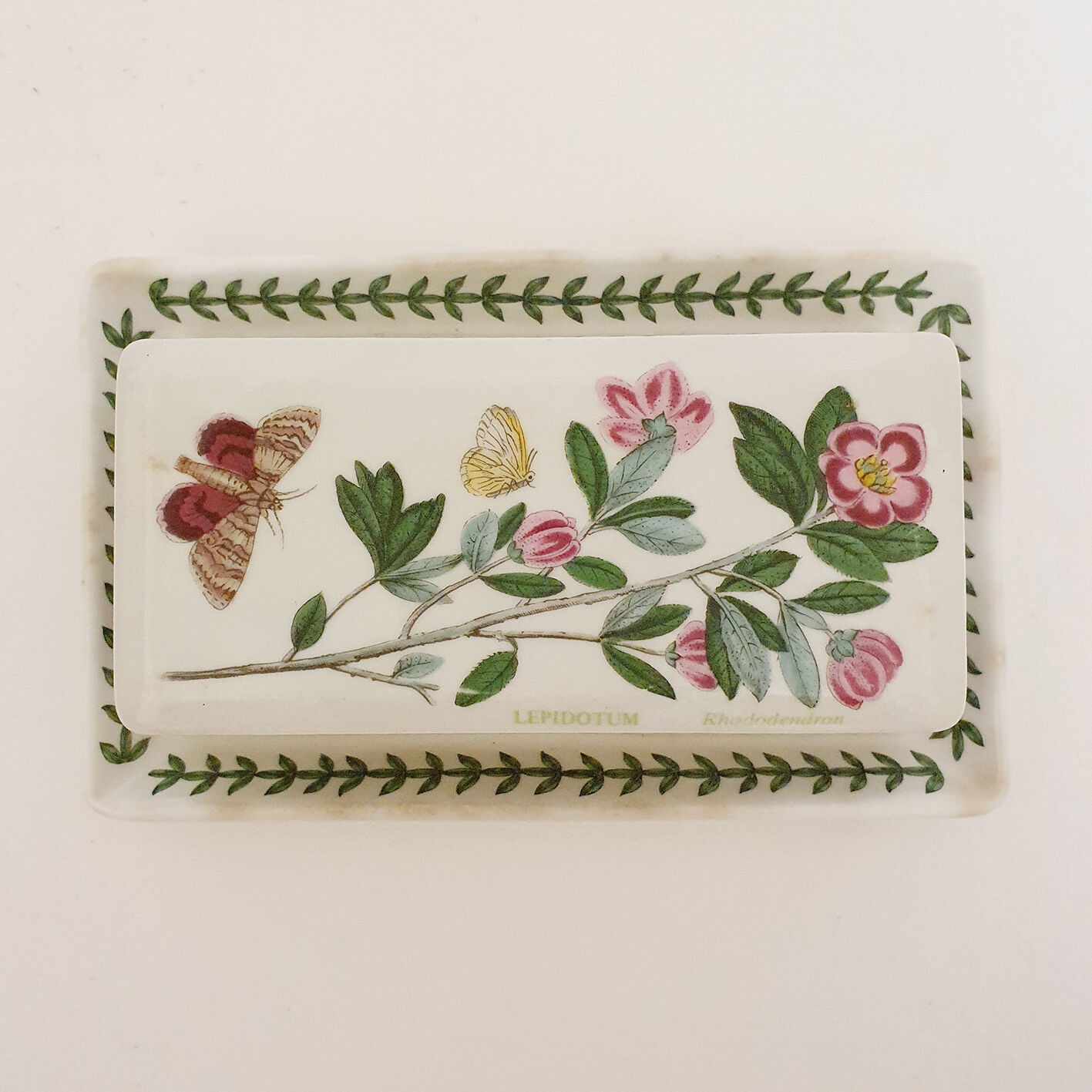 English ceramic butter dish