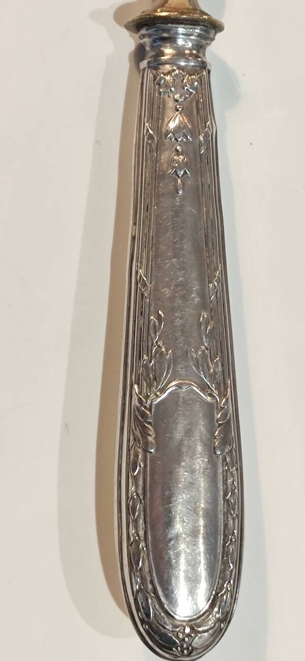 Ancienne Pelle/Couvert