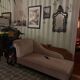 Velvet daybed