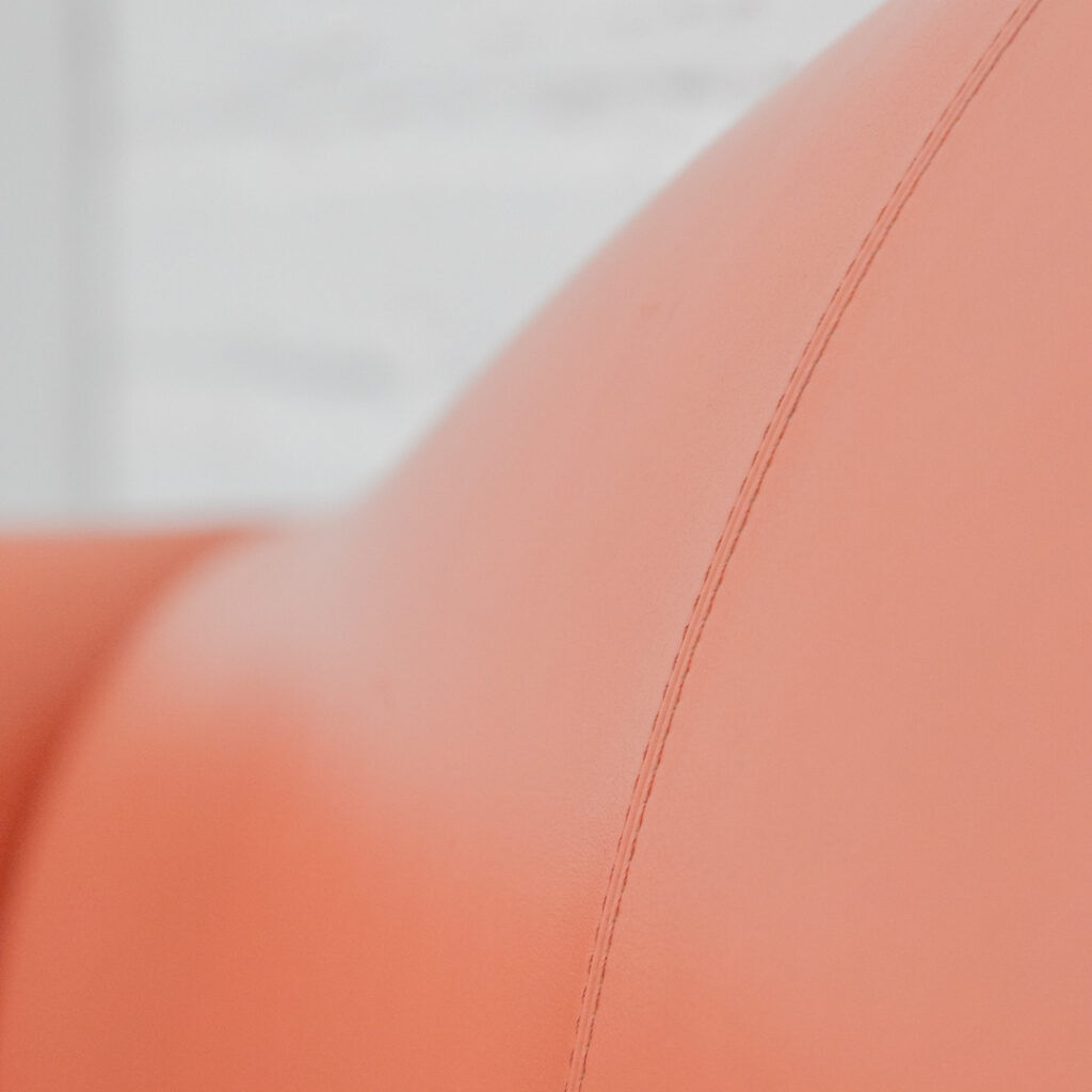 Hydra Sirius Sofa by Luca Scacchetti for Poltrona Frau