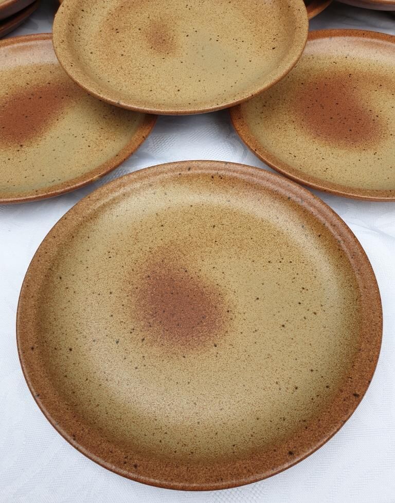 Set 12 plates and 1 dish sandstone of Burgundy Sarreguemines