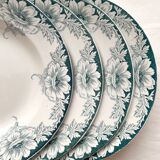 6 deep ironware plates Suzanne, Saint Amand and Hamage