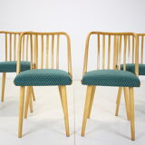 1960s Antonin Suman Set of Four Dining Chairs, Czechoslovakia