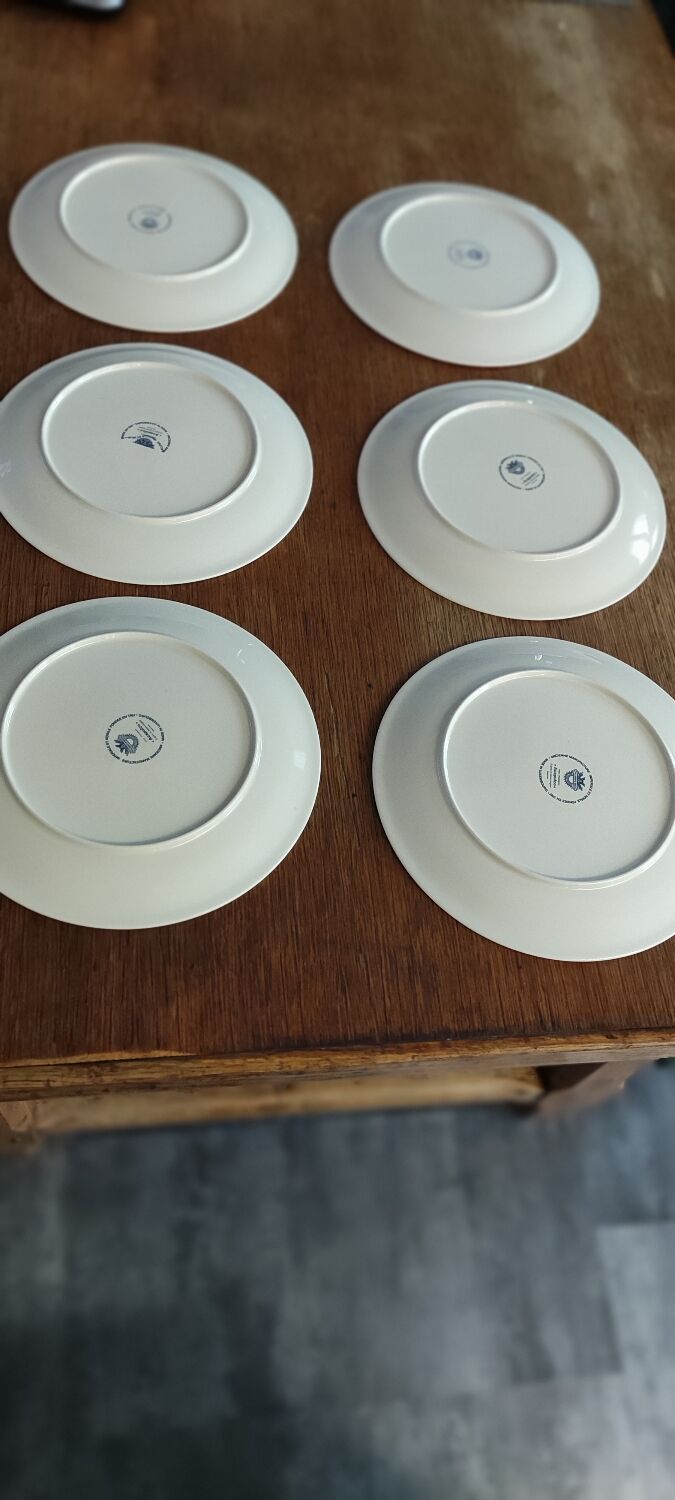 6 flat plates acapulco villeroy and bosch