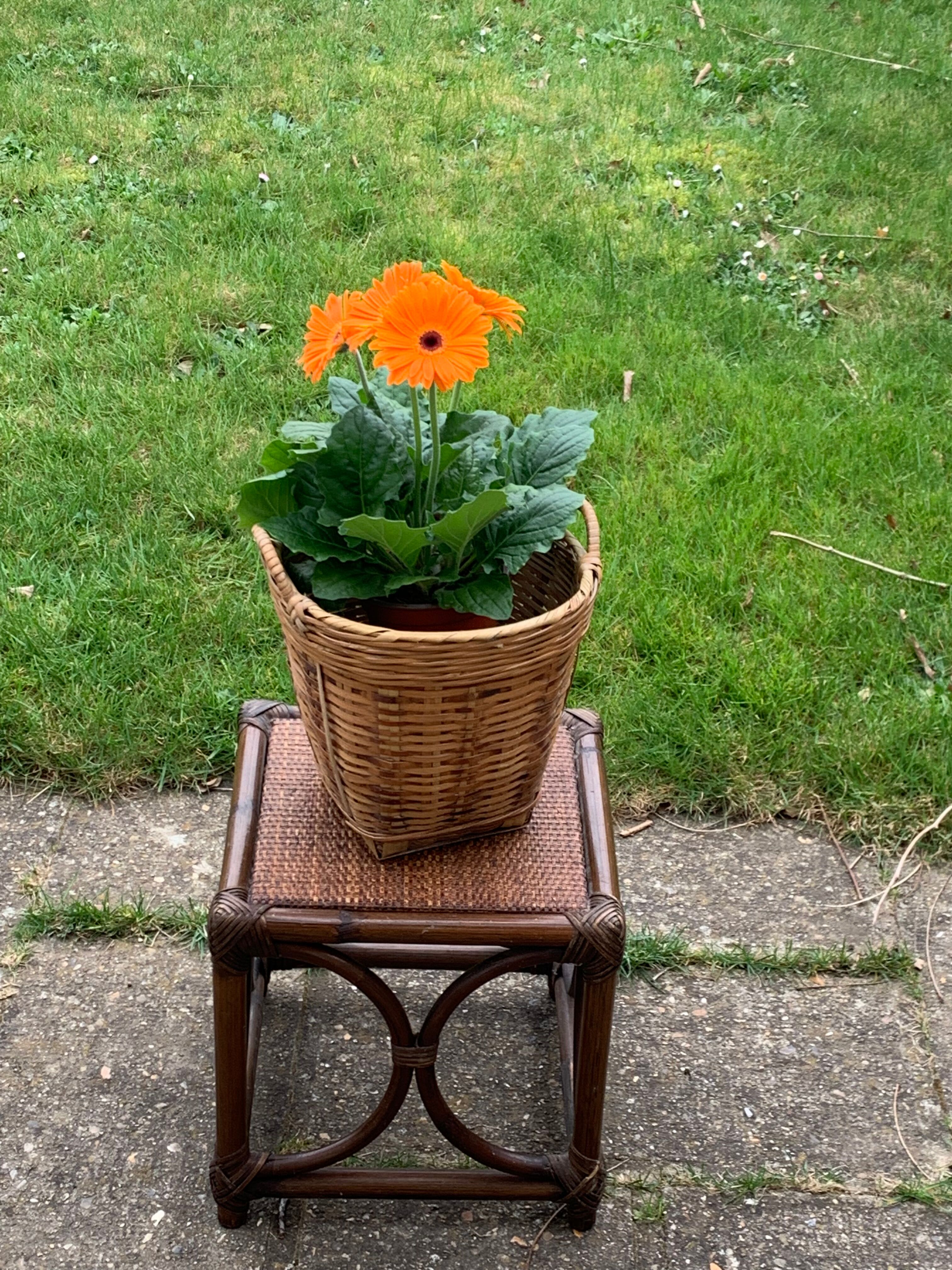 Small square-shaped side table in bamboo and vintage wicker